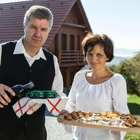 Pensjonat Pensiunea Szilas Panzio Păuleni